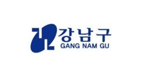 강남구